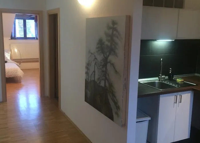 Apartment Slovinska 28 Brünn